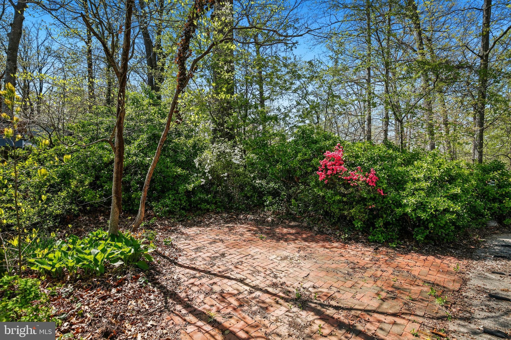 14816 Claude Lane Silver Spring, MD 20905 - Photo 19 of 52