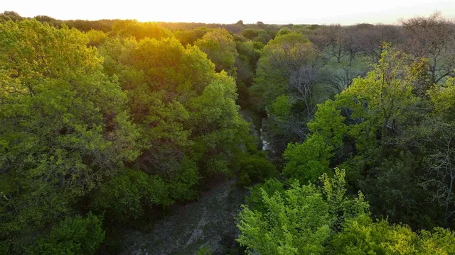 an aerial view of a house with a garden and lake view