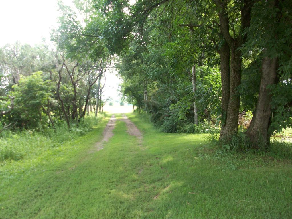 0 Nelson's Road Mora, MN 55051 - Photo 1 of 1