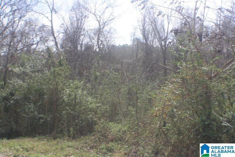 Old Choccolocco Road, Unit 97 Weaver, AL 36277 - Photo 1 of 27