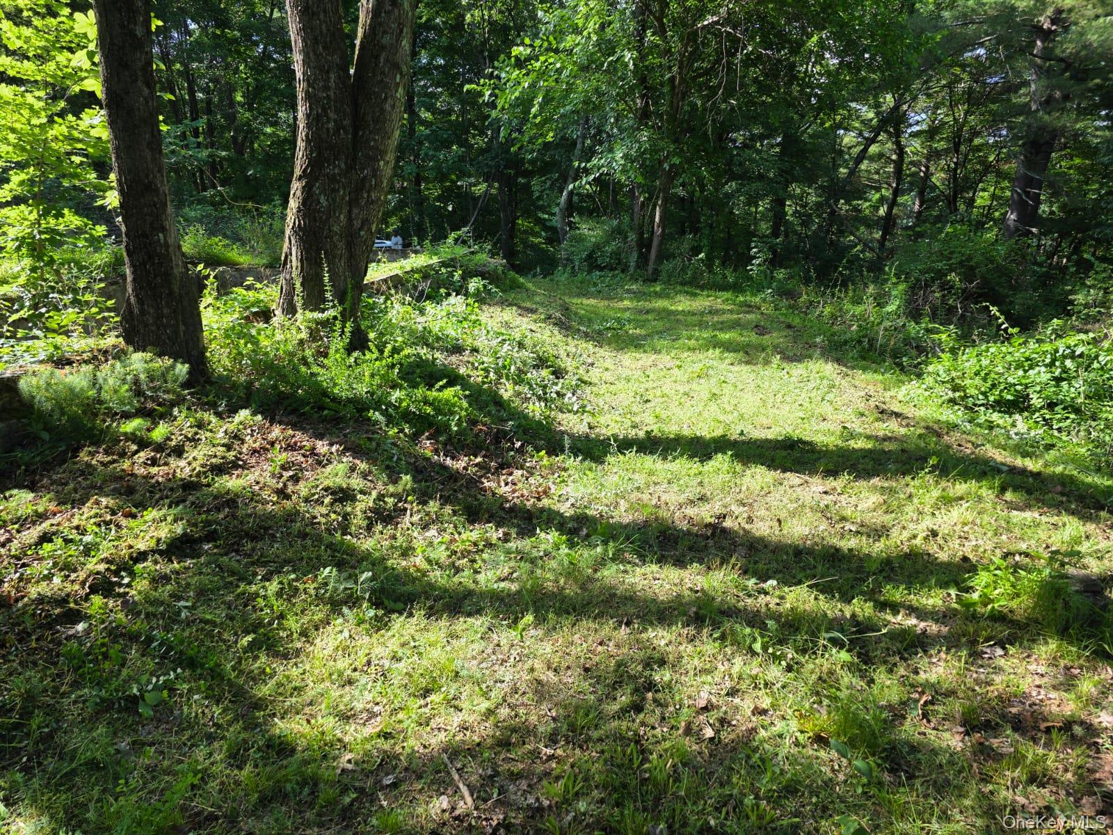 66 Ryan Road Pine Plains, NY 12567 - Photo 3 of 10 Driveway