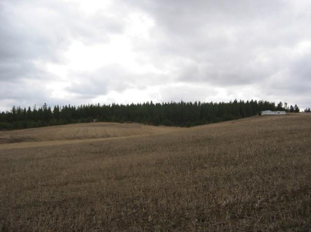 22000 West Jacobs Road Spokane, WA 99224 - Photo 1 of 6