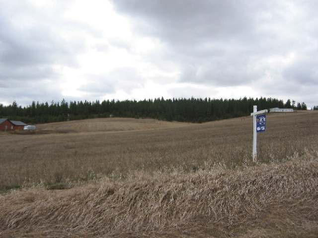 22000 West Jacobs Road Spokane, WA 99224 - Photo 3 of 6