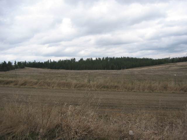 22000 West Jacobs Road Spokane, WA 99224 - Photo 4 of 6
