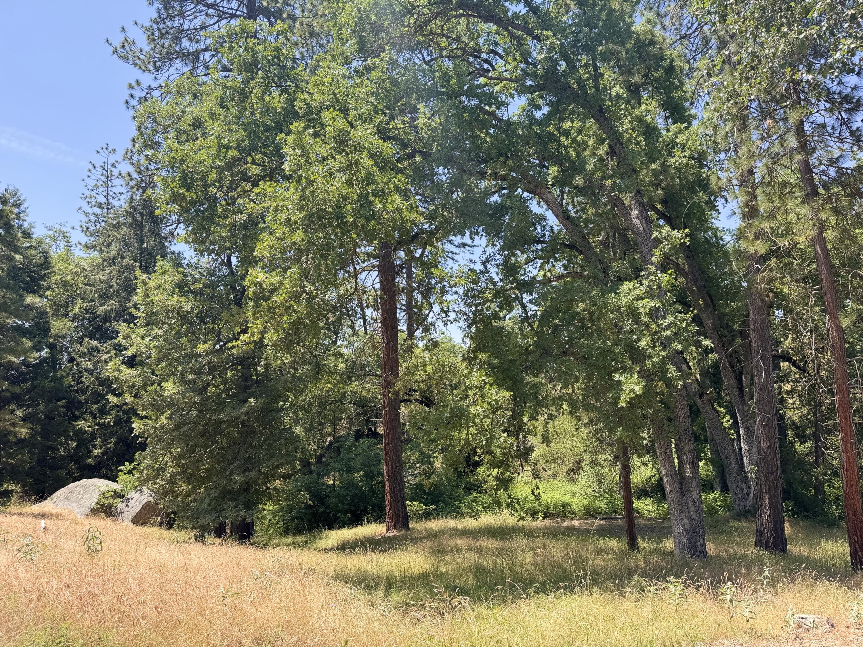 51911 Hogback Miramonte, CA 93641 - Photo 47 of 49 a view of a yard with trees