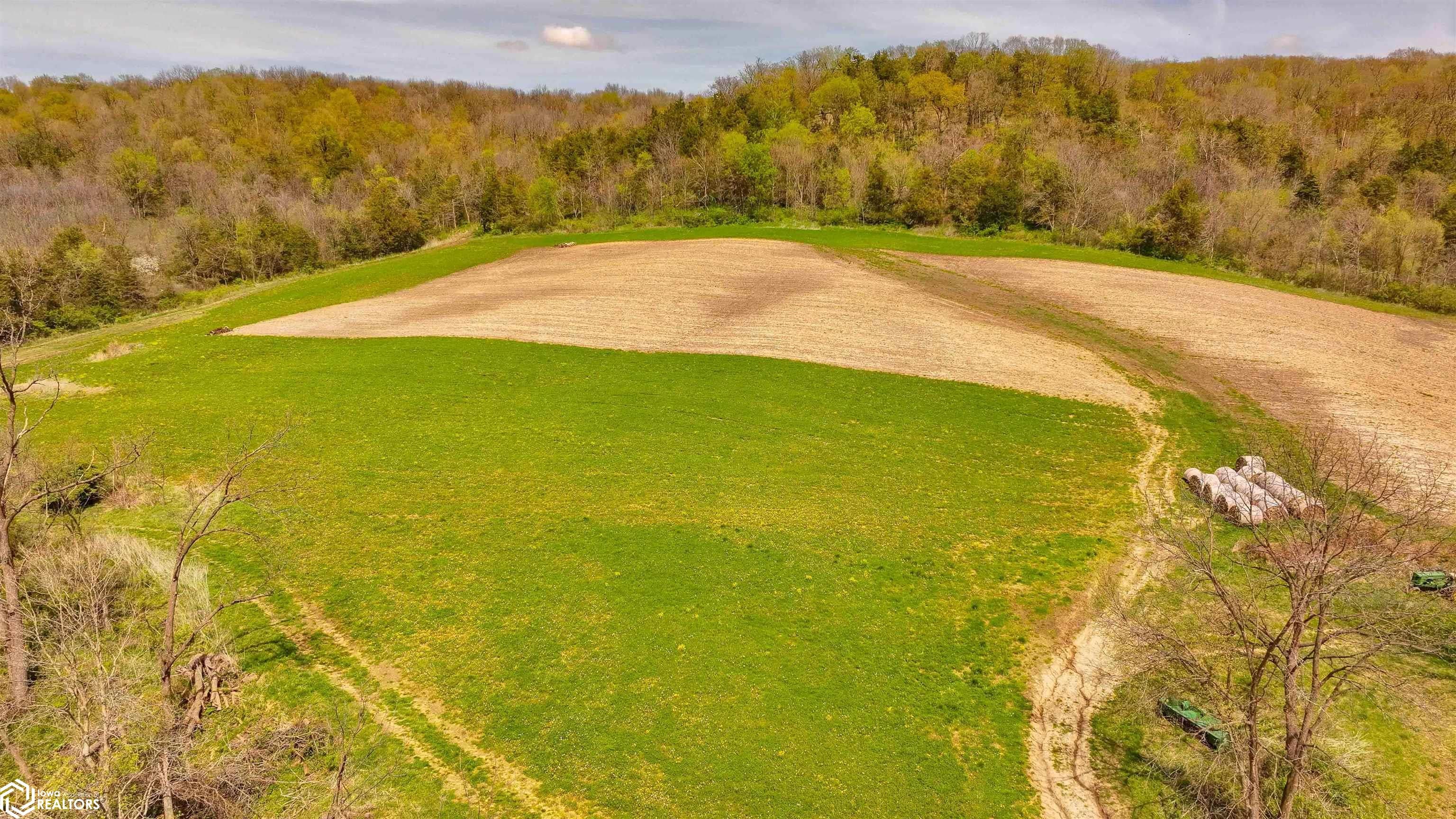 38346 Cherry Valley Road Guttenberg, IA 52052 - Photo 54 of 75 Gallery Image 54