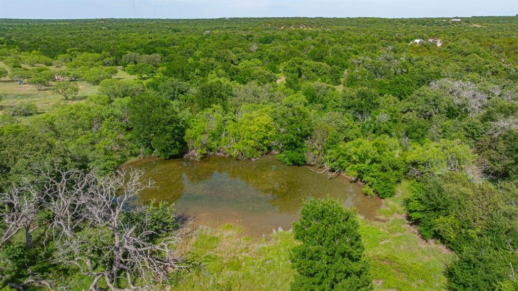 136 Moose Trail Ranger, TX 76470 - Photo 5 of 40 a view of a lake view with a garden