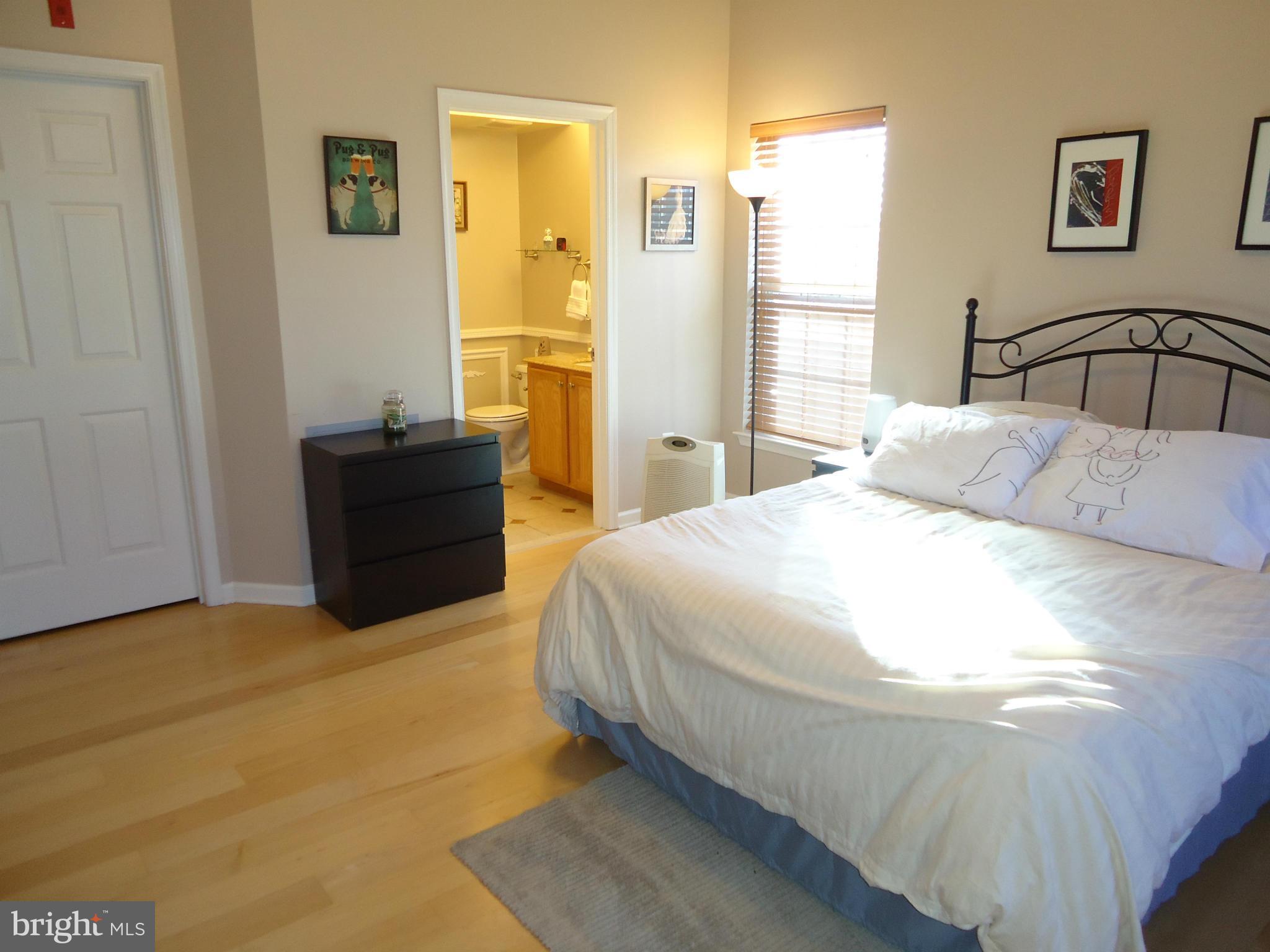 10109 Ridge Manor Terrace, Unit 4000K Damascus, MD 20872 - Photo 16 of 23 Bedroom (Master)