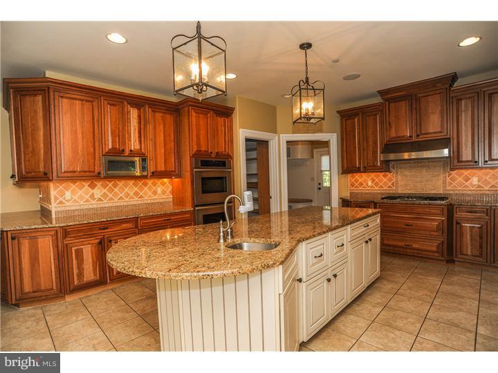 398 South Warner Road Wayne, PA 19087 - Photo 7 of 25 Kitchen