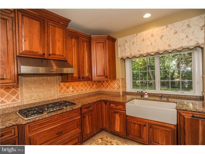 398 South Warner Road Wayne, PA 19087 - Photo 8 of 25 Kitchen