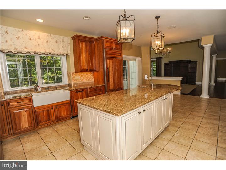 398 South Warner Road Wayne, PA 19087 - Photo 9 of 25 Kitchen