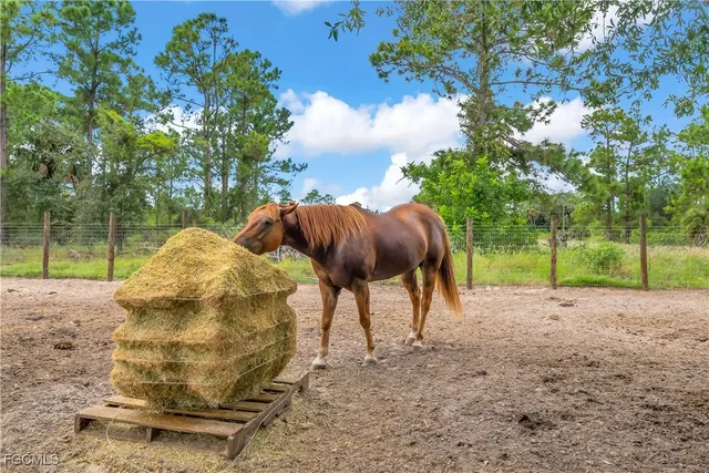a view of a yard with an tree and wooden fence