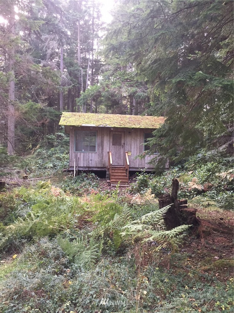 692 East Classic Road Greenbank, WA 98253 - Photo 2 of 6 Gallery Image 2
