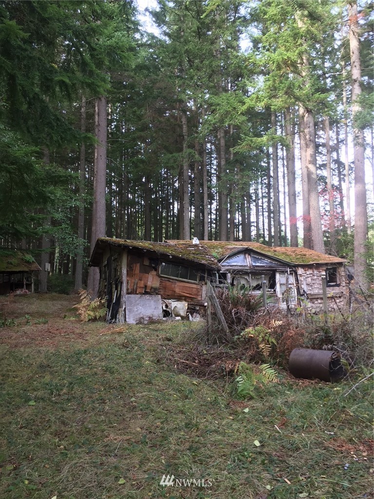 692 East Classic Road Greenbank, WA 98253 - Photo 3 of 6 Gallery Image 3