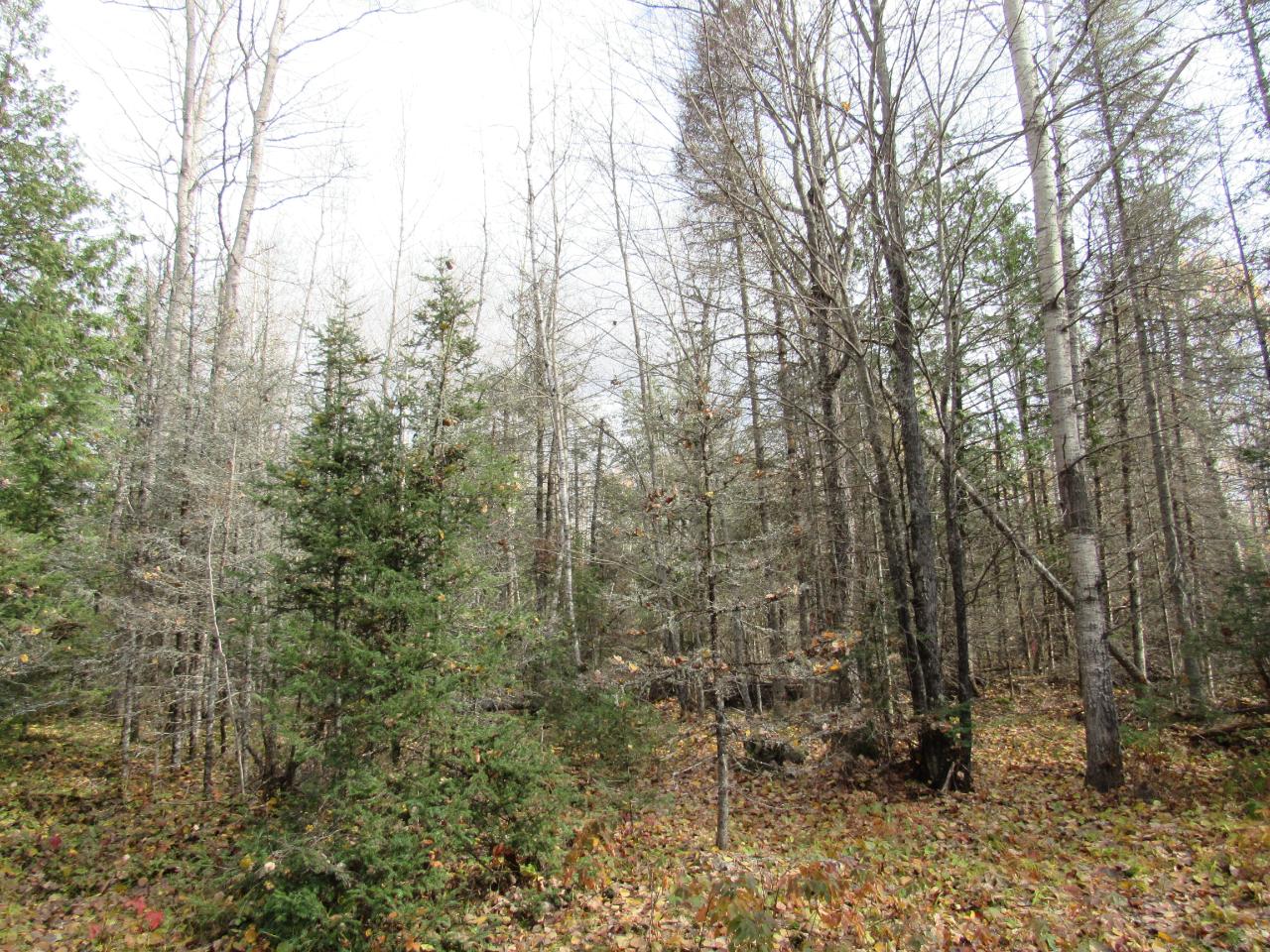 On Sheltrow Road, Unit LOT 10 Crystal Falls, MI 49920 - Photo 10 of 14 Gallery Image 10