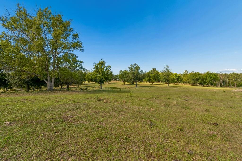 31501 Reed Road Dade City, FL 33523 - Photo 12 of 45 a view of a field with trees