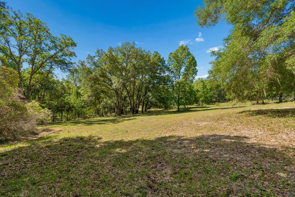 31501 Reed Road Dade City, FL 33523 - Photo 18 of 45 a view of yard with trees