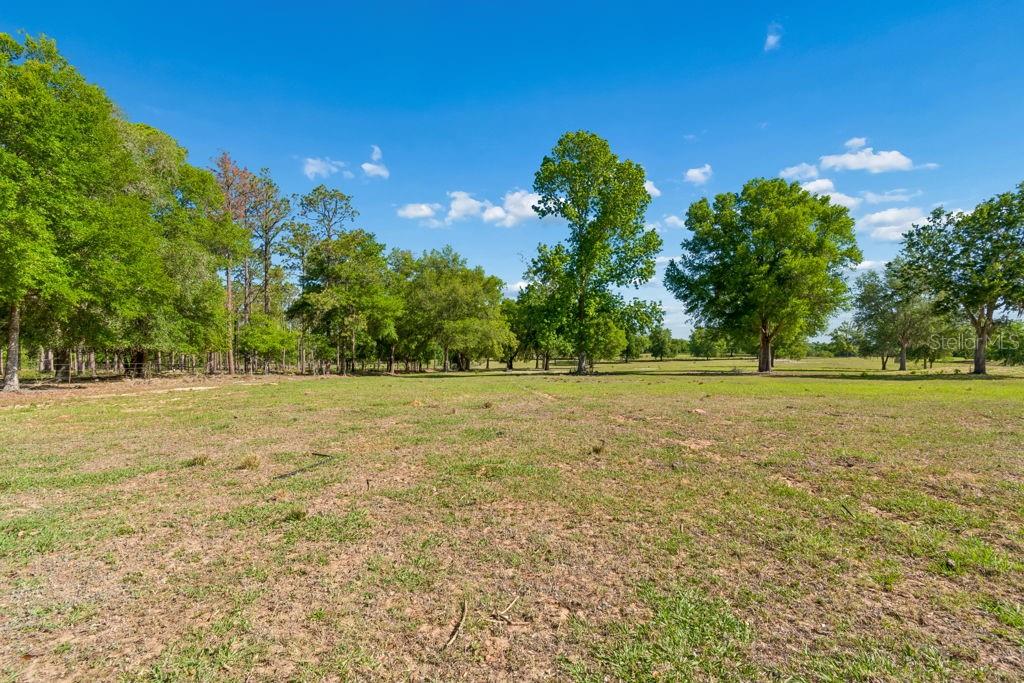 31501 Reed Road Dade City, FL 33523 - Photo 8 of 45 a view of outdoor space with garden