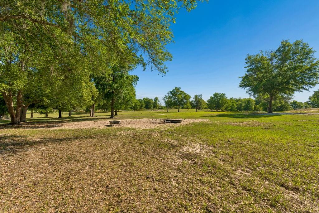 31501 Reed Road Dade City, FL 33523 - Photo 9 of 45 a view of a garden with trees
