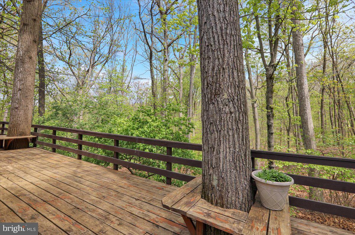 13 Nassau Circle Reading, PA 19607 - Photo 8 of 54