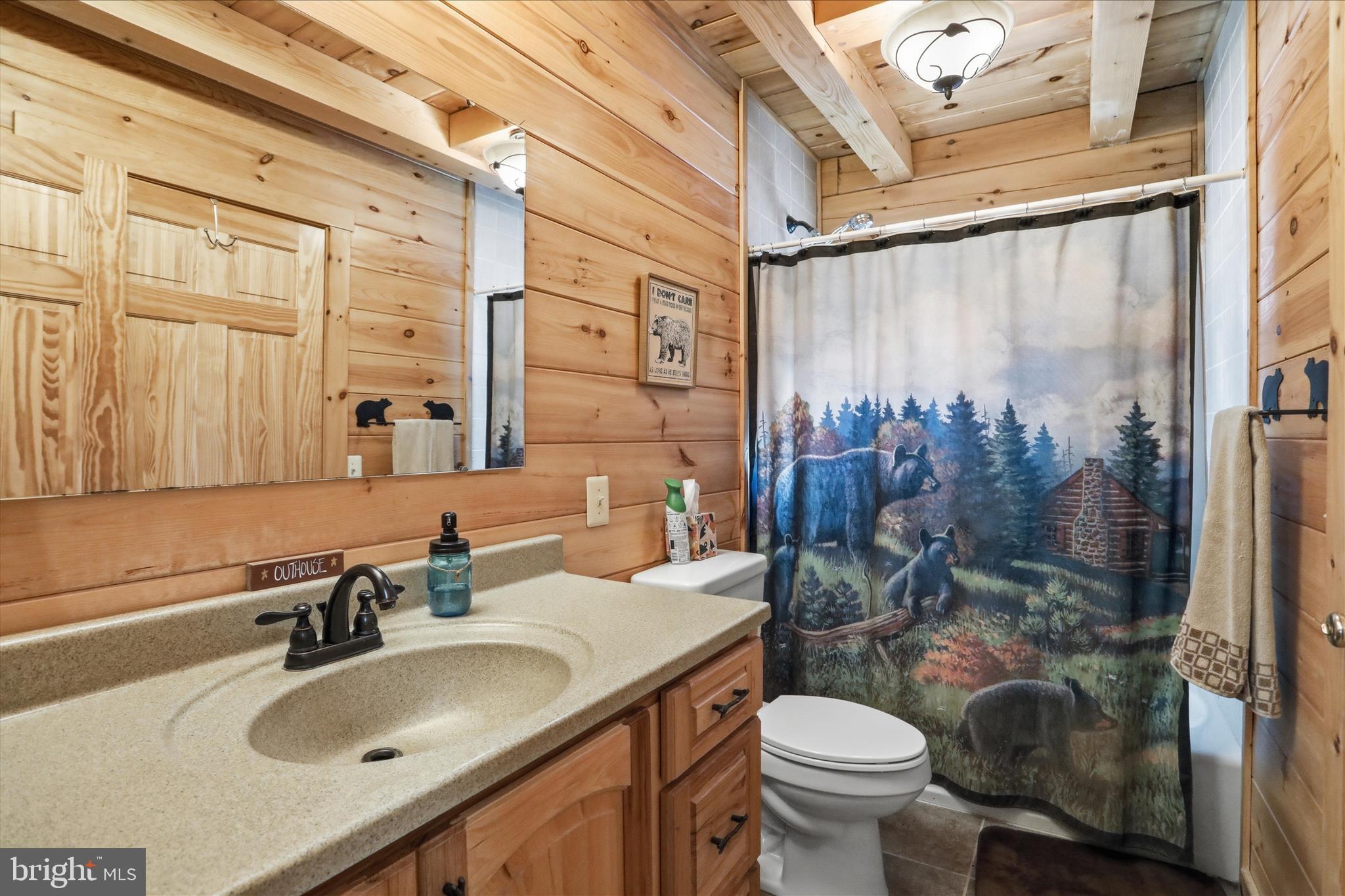 4 Parsons Ridge Road Romney, WV 26757 - Photo 25 of 58 a bathroom with a sink toilet and shower