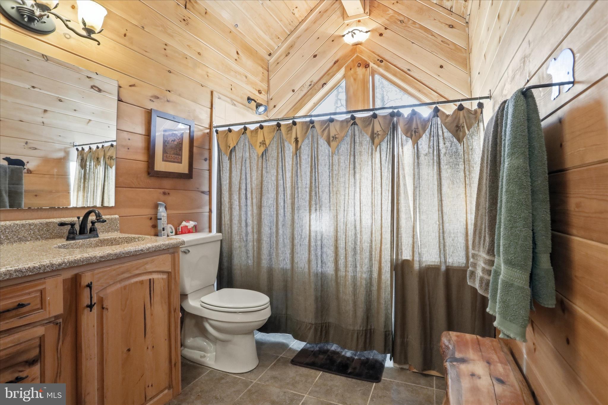 4 Parsons Ridge Road Romney, WV 26757 - Photo 33 of 58 a bathroom with a granite countertop sink a toilet and shower