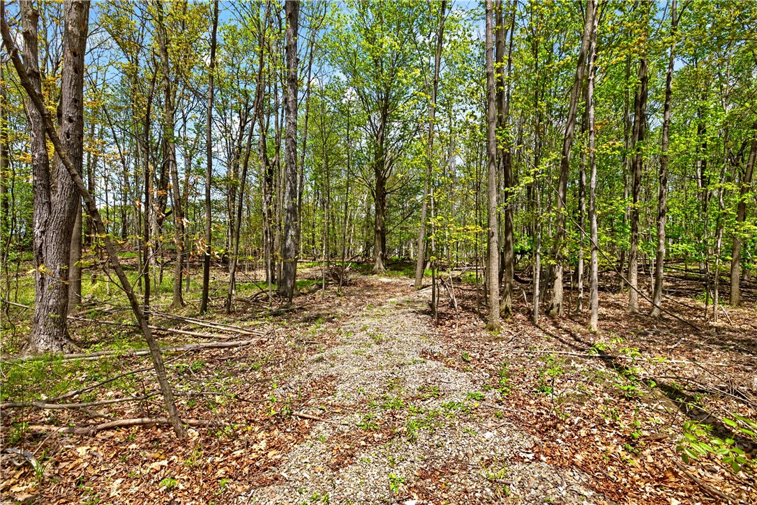 1890 Warren Road Middlesex, NY 14507 - Photo 34 of 39