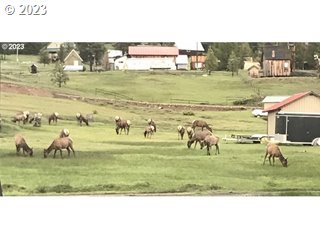 1844 Center Street Sumpter, OR 97877 - Photo 6 of 11