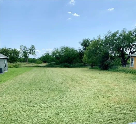 a view of a field with a trees in the background