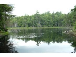 481 Brownfield Road Eaton, NH 03813 - Photo 2 of 9