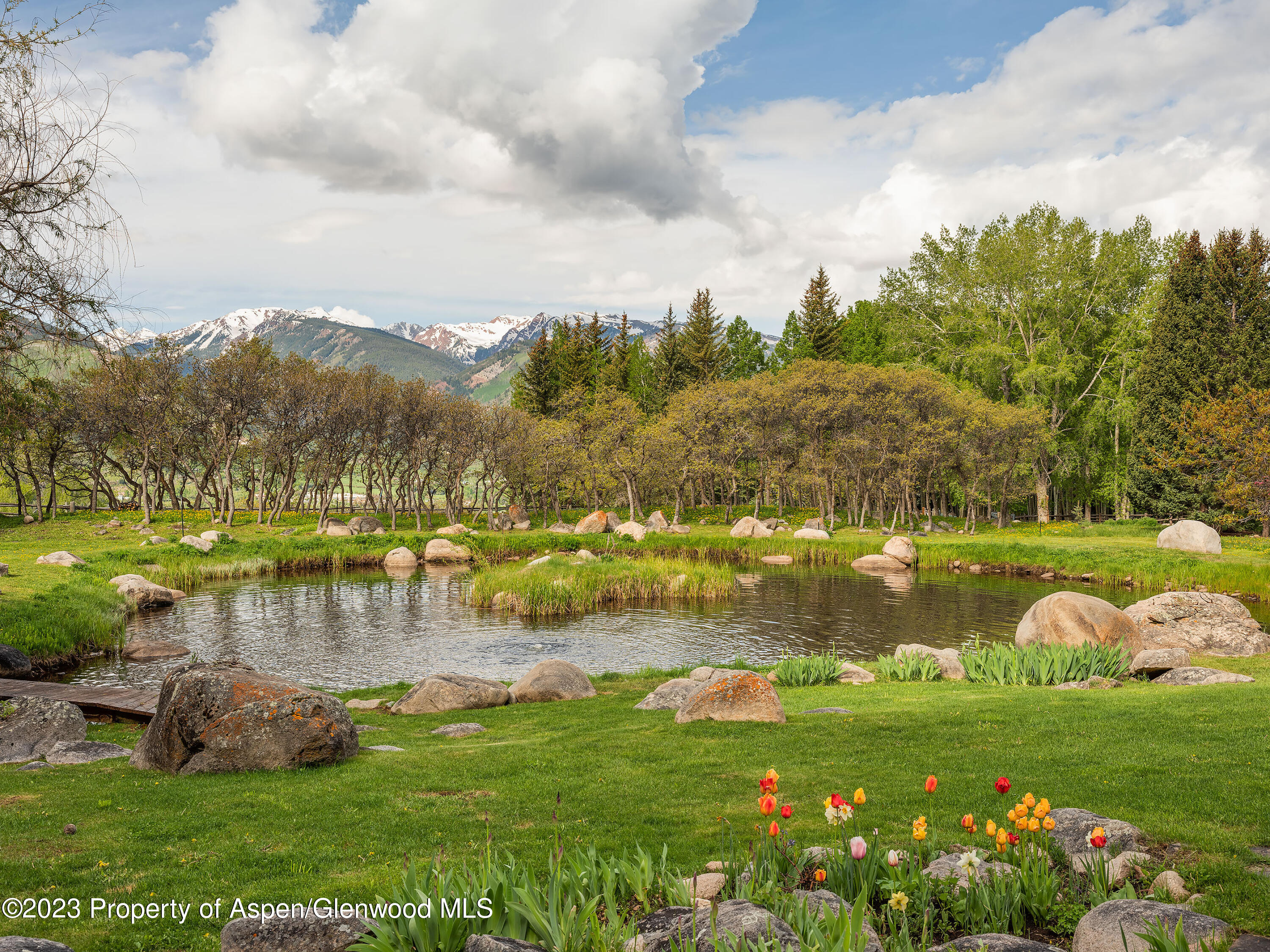 209 East Reds Road Aspen, CO 81612 - Photo 11 of 26 a view of a lake with a yard and large trees