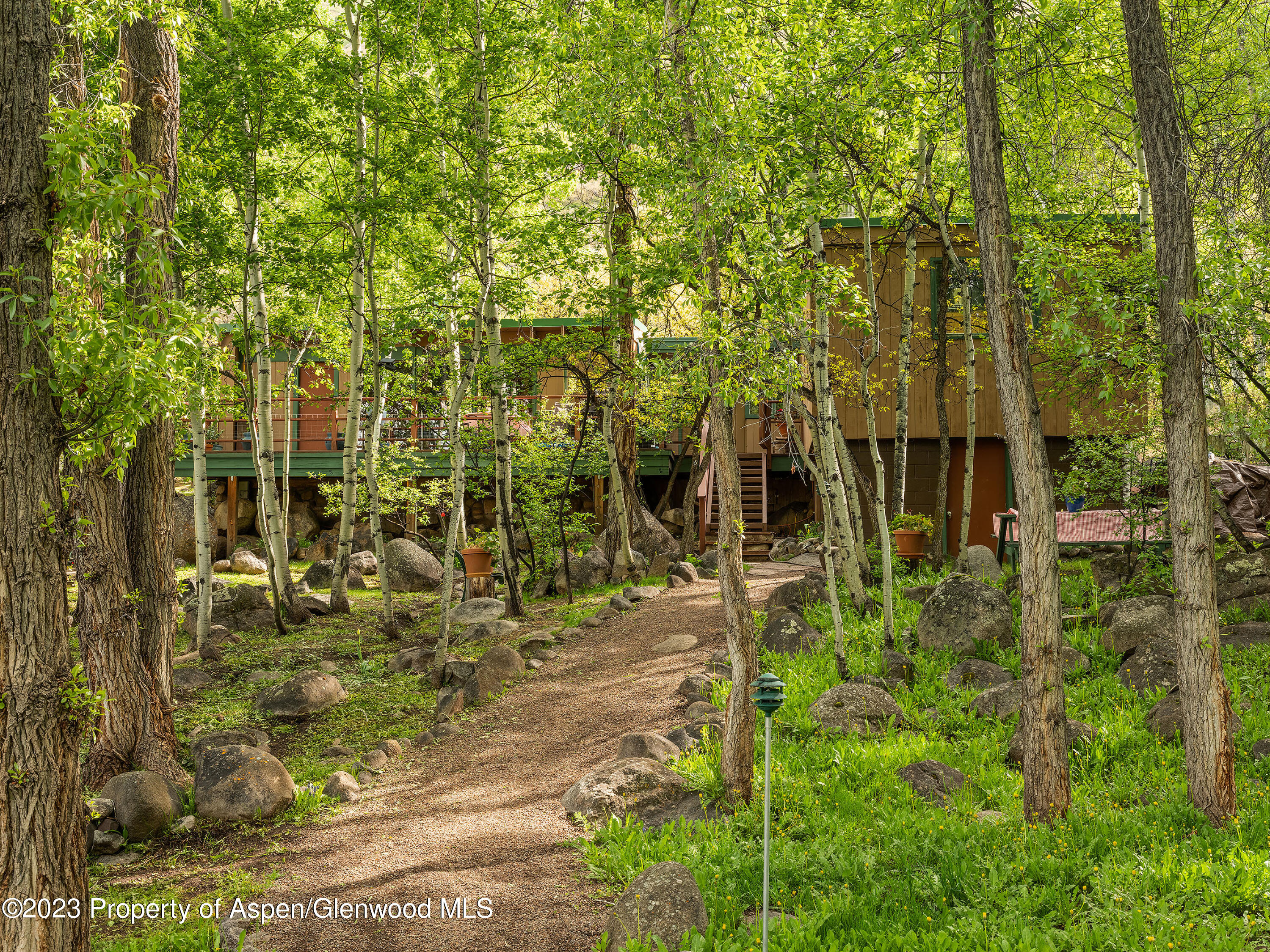 209 East Reds Road Aspen, CO 81612 - Photo 20 of 26 a backyard of a building with trees