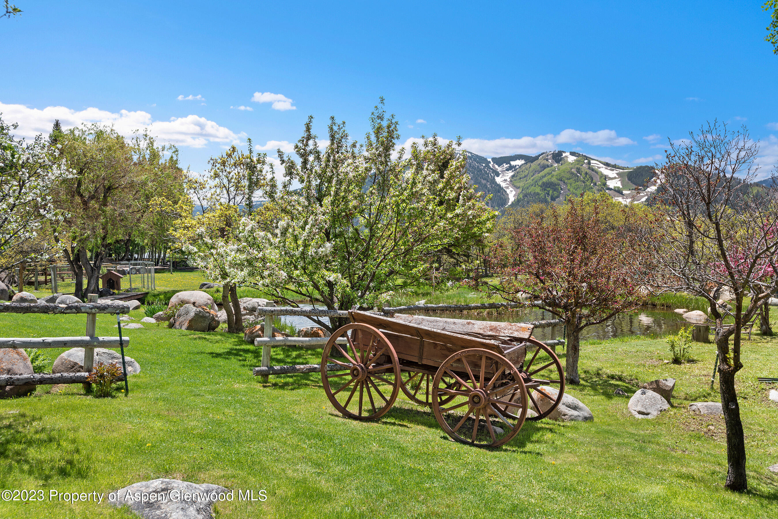 209 East Reds Road Aspen, CO 81612 - Photo 21 of 26 a view of a park with large trees