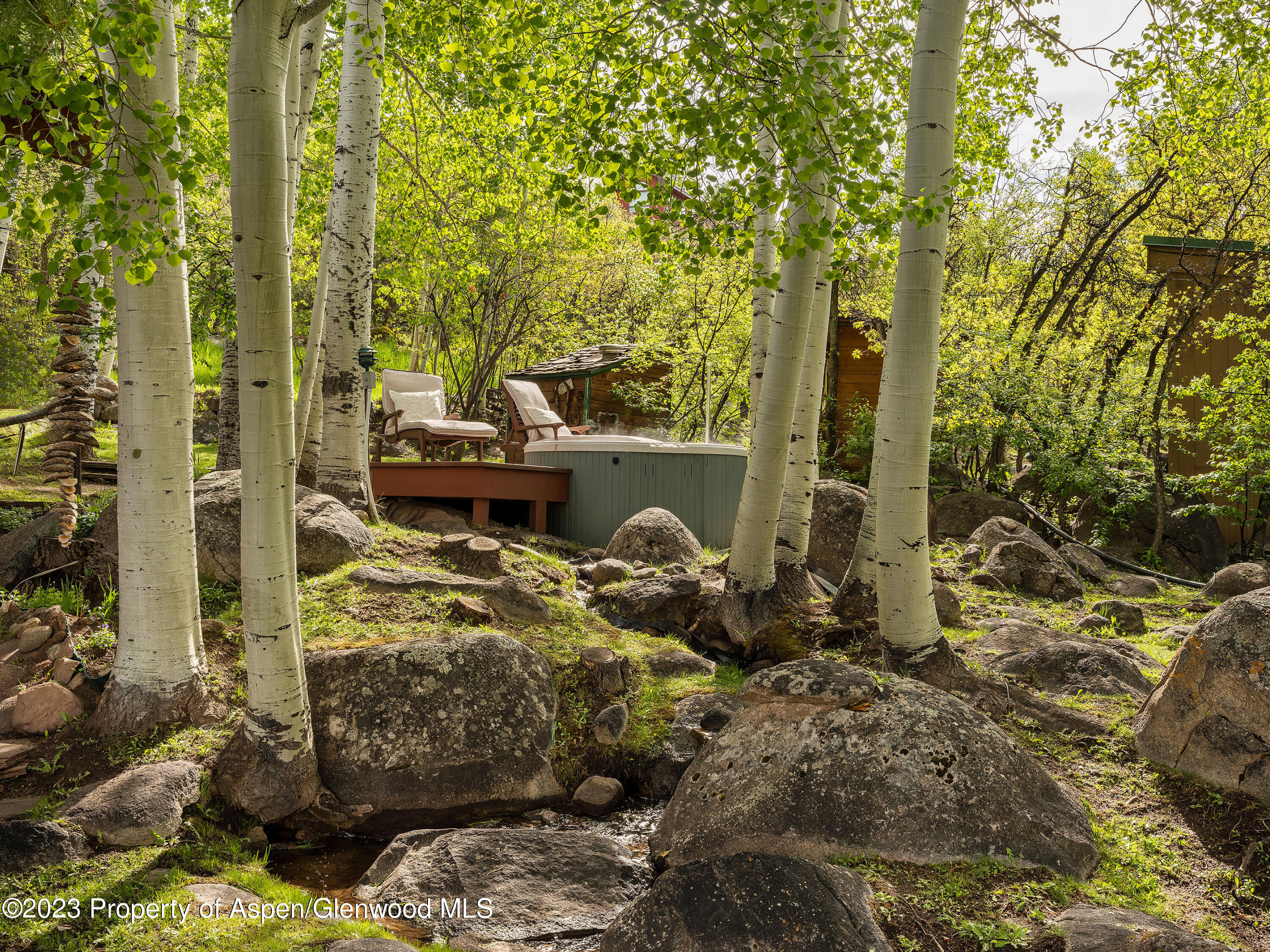 209 East Reds Road Aspen, CO 81612 - Photo 22 of 26 a view of yard from balcony