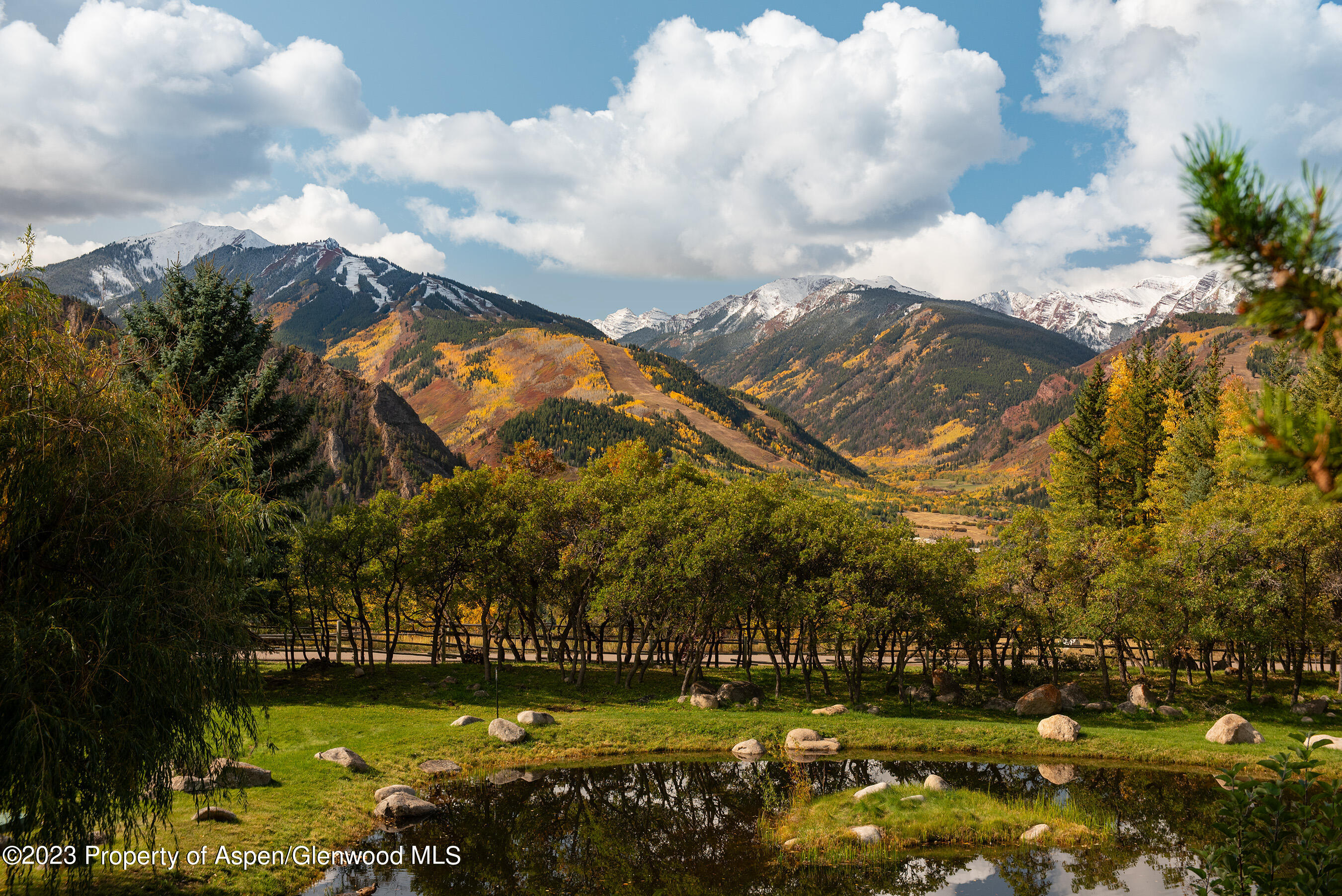 209 East Reds Road Aspen, CO 81612 - Photo 4 of 26 a view of a big yard