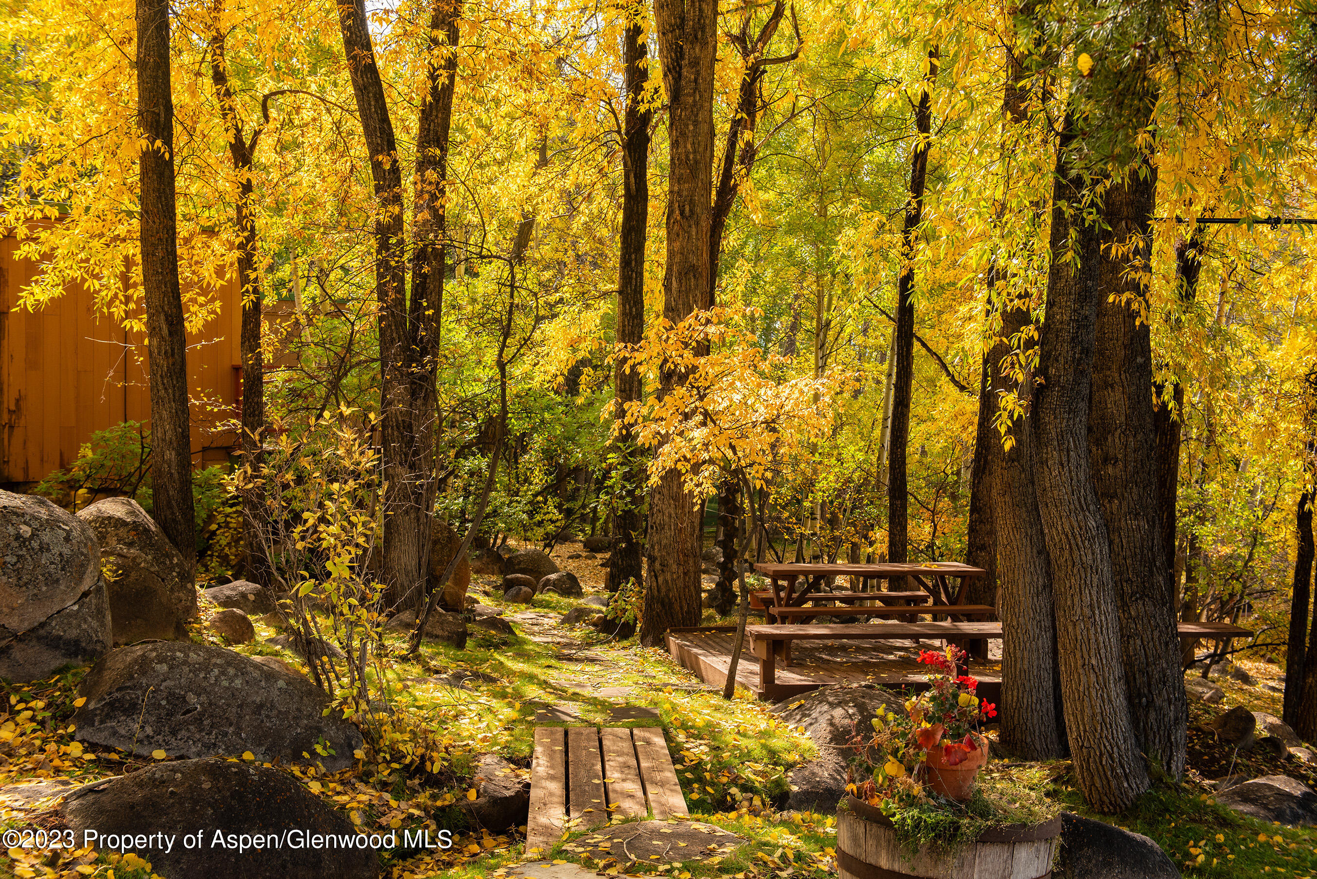 209 East Reds Road Aspen, CO 81612 - Photo 6 of 26