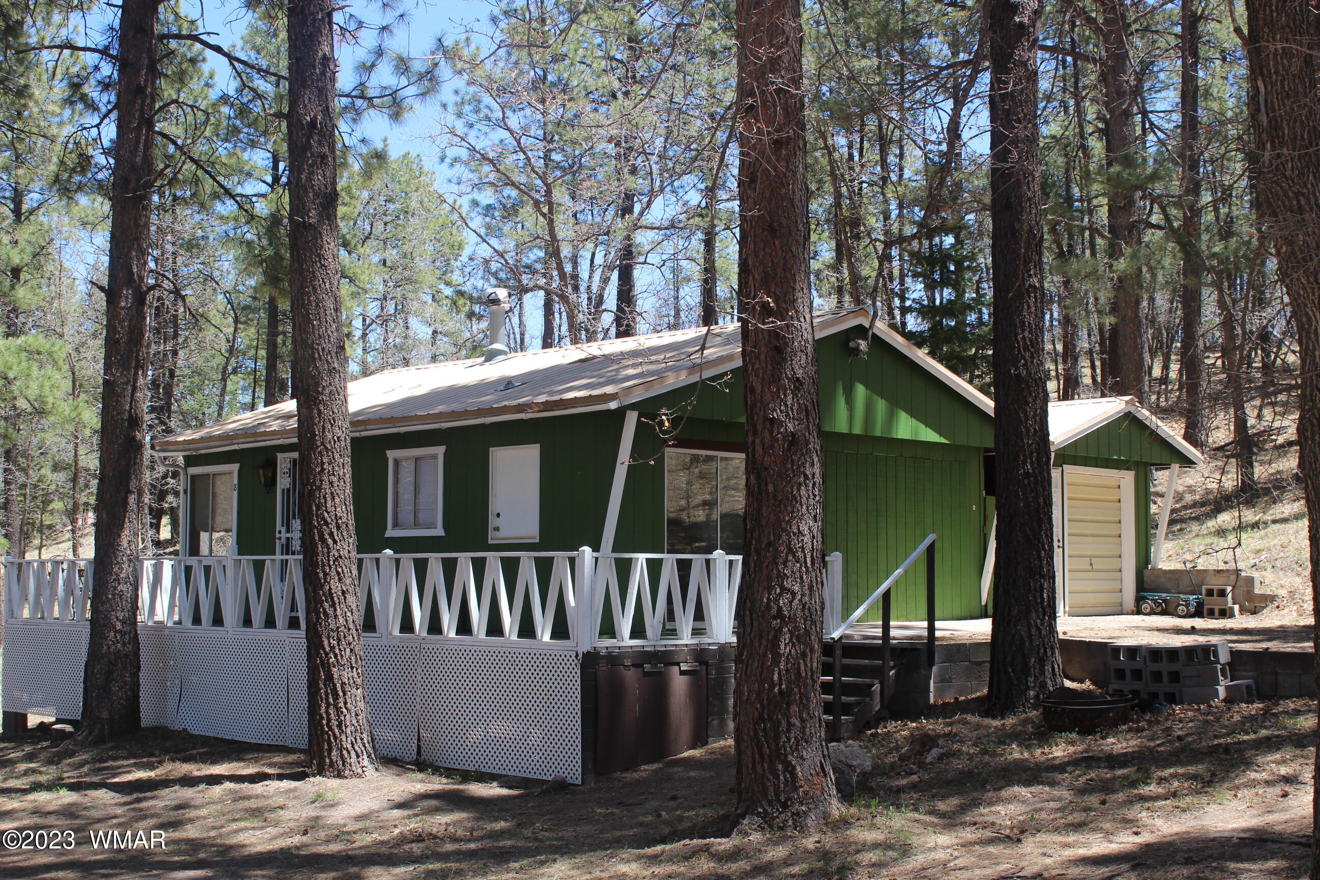 6 County Road Alpine, AZ 85920 - Photo 3 of 43