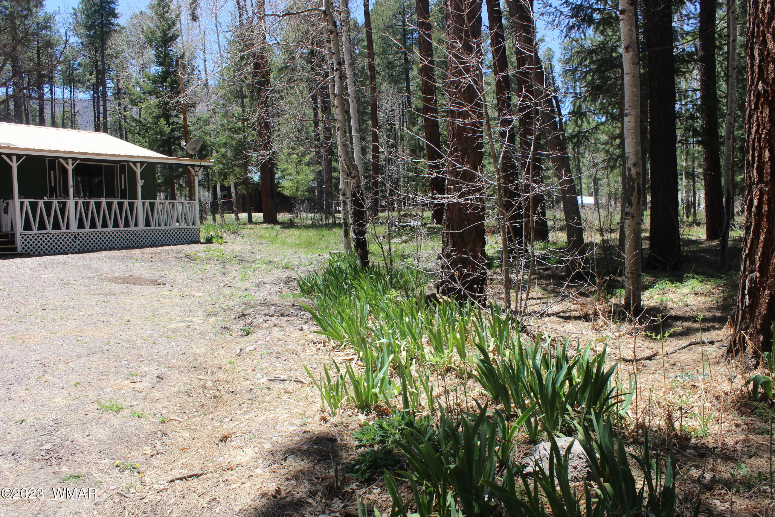 6 County Road Alpine, AZ 85920 - Photo 34 of 43
