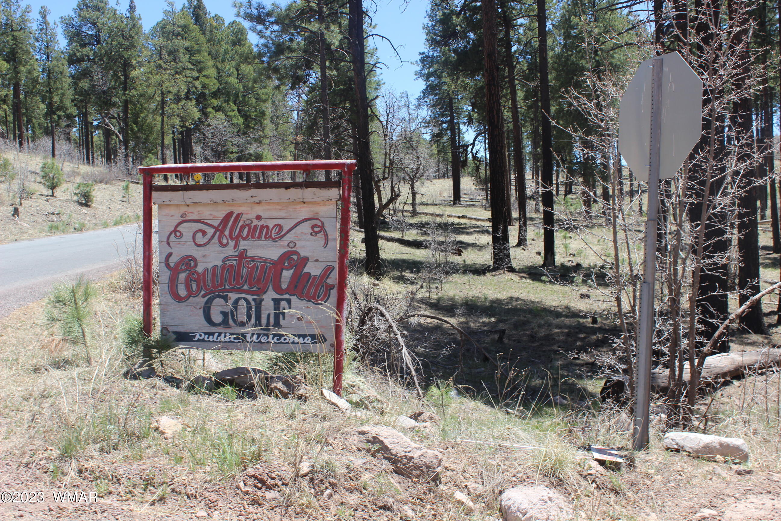 6 County Road Alpine, AZ 85920 - Photo 35 of 43