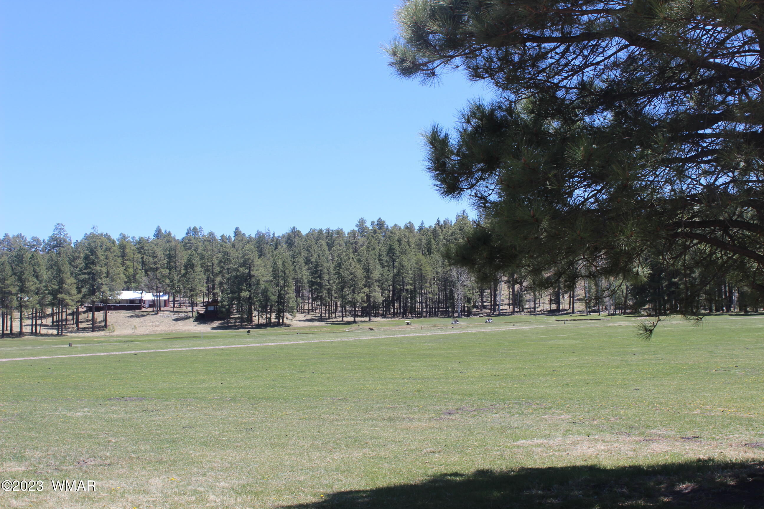 6 County Road Alpine, AZ 85920 - Photo 39 of 43