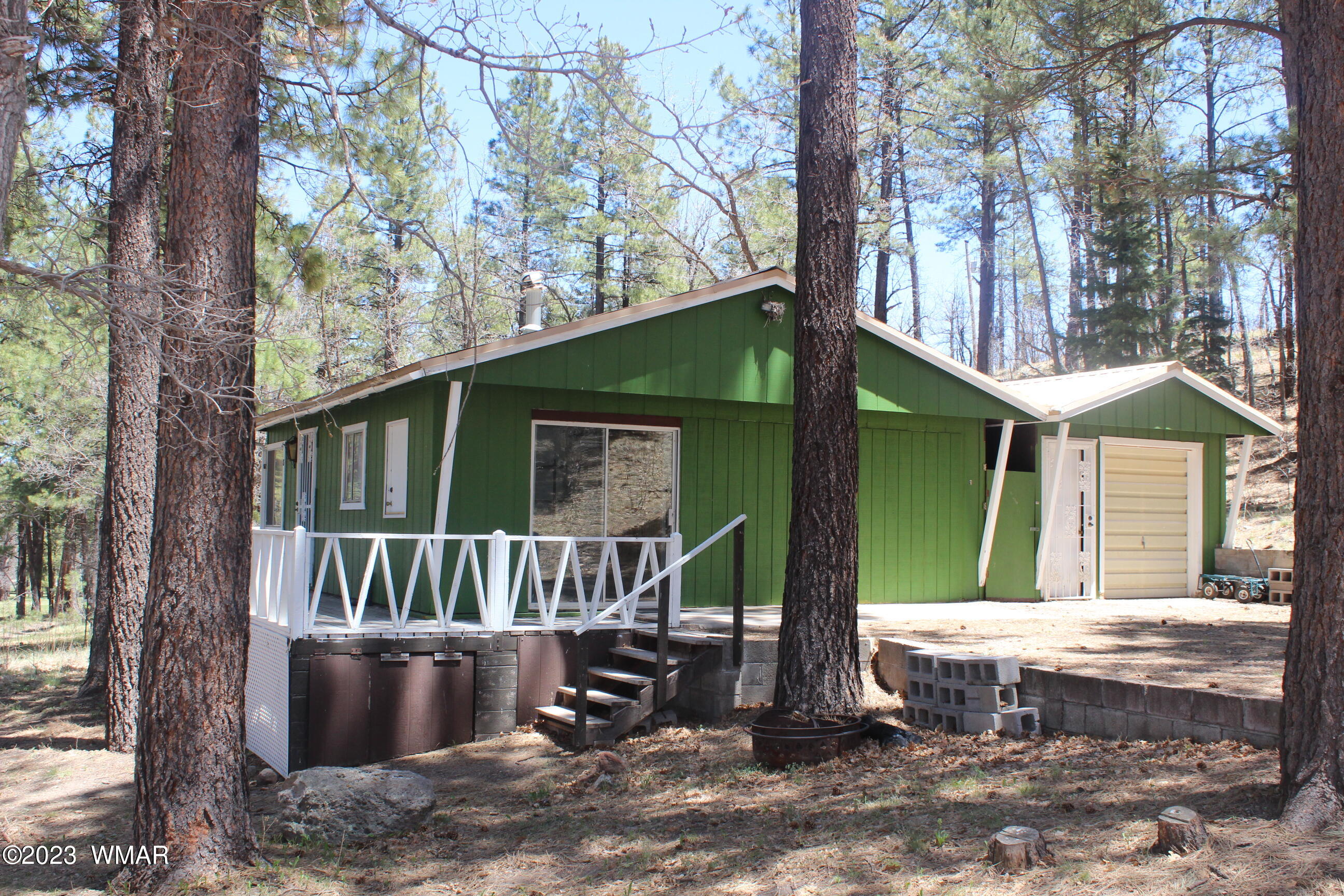 6 County Road Alpine, AZ 85920 - Photo 4 of 43