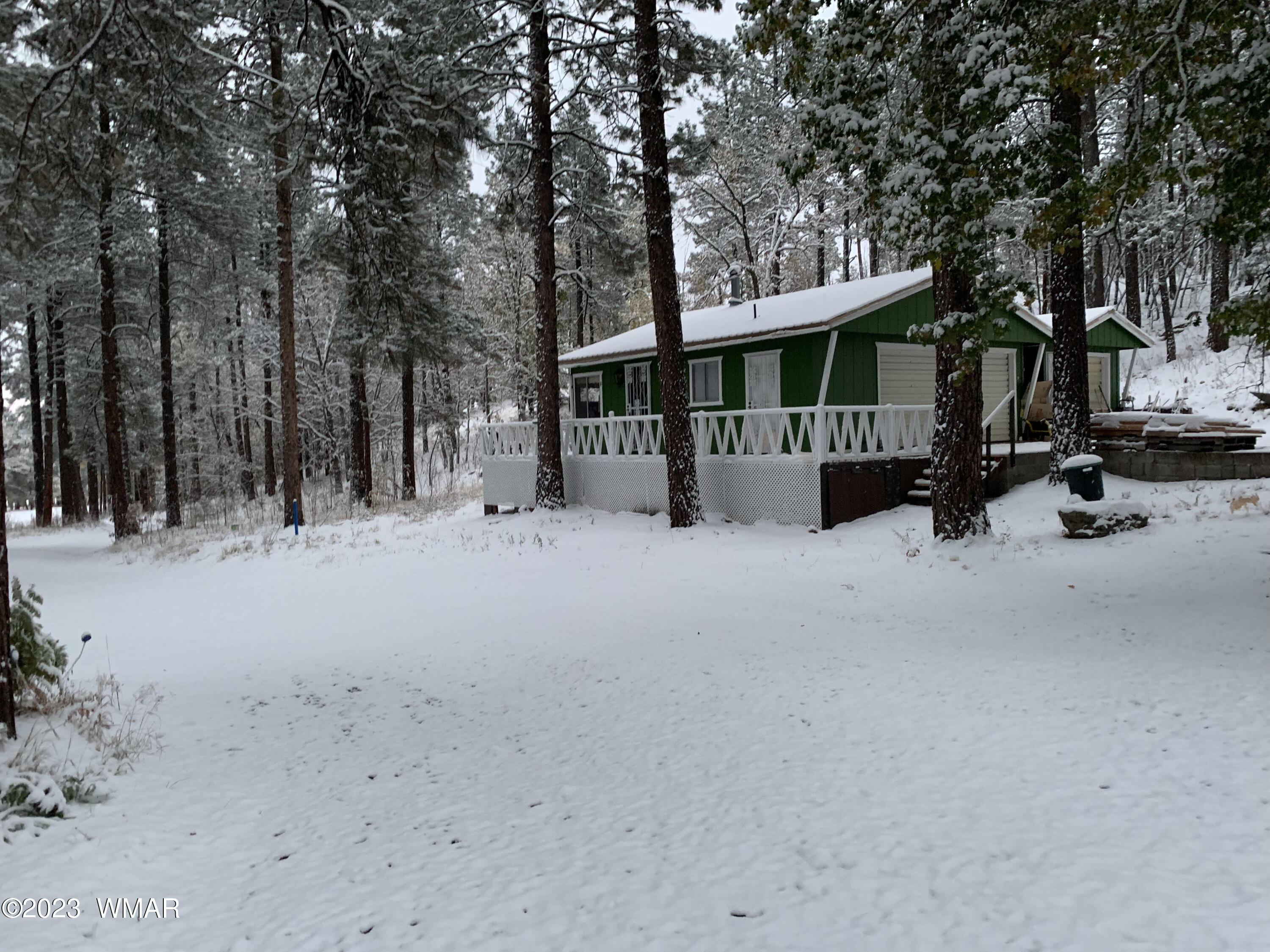 6 County Road Alpine, AZ 85920 - Photo 6 of 43
