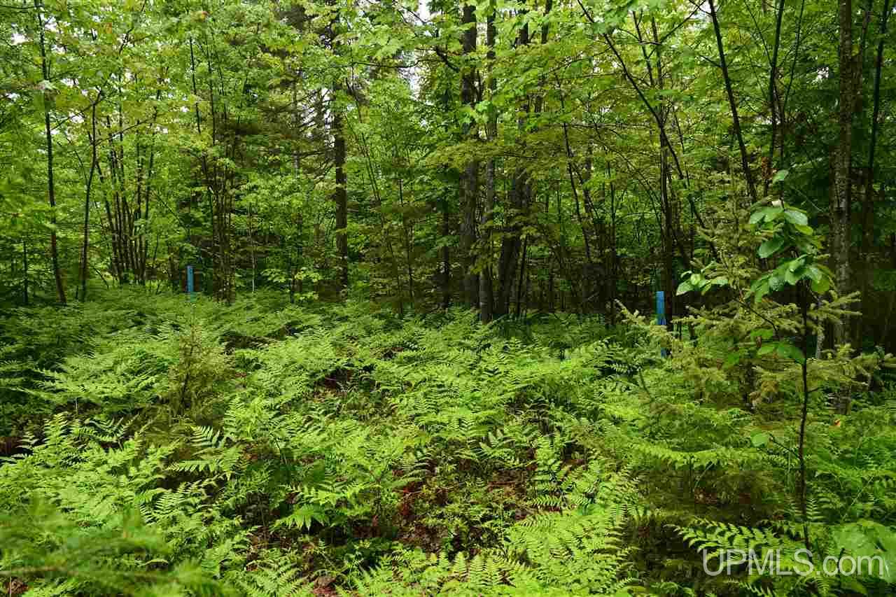 Tbd Mud Lake Road Lake Linden, MI 49945 - Photo 11 of 28