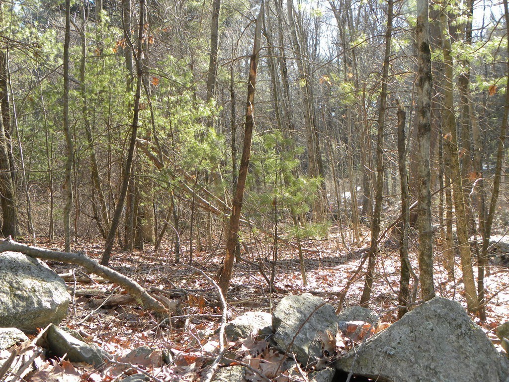 Lot D Gould Road Charlton, MA 01507 - Photo 4 of 8 Gallery Image 4