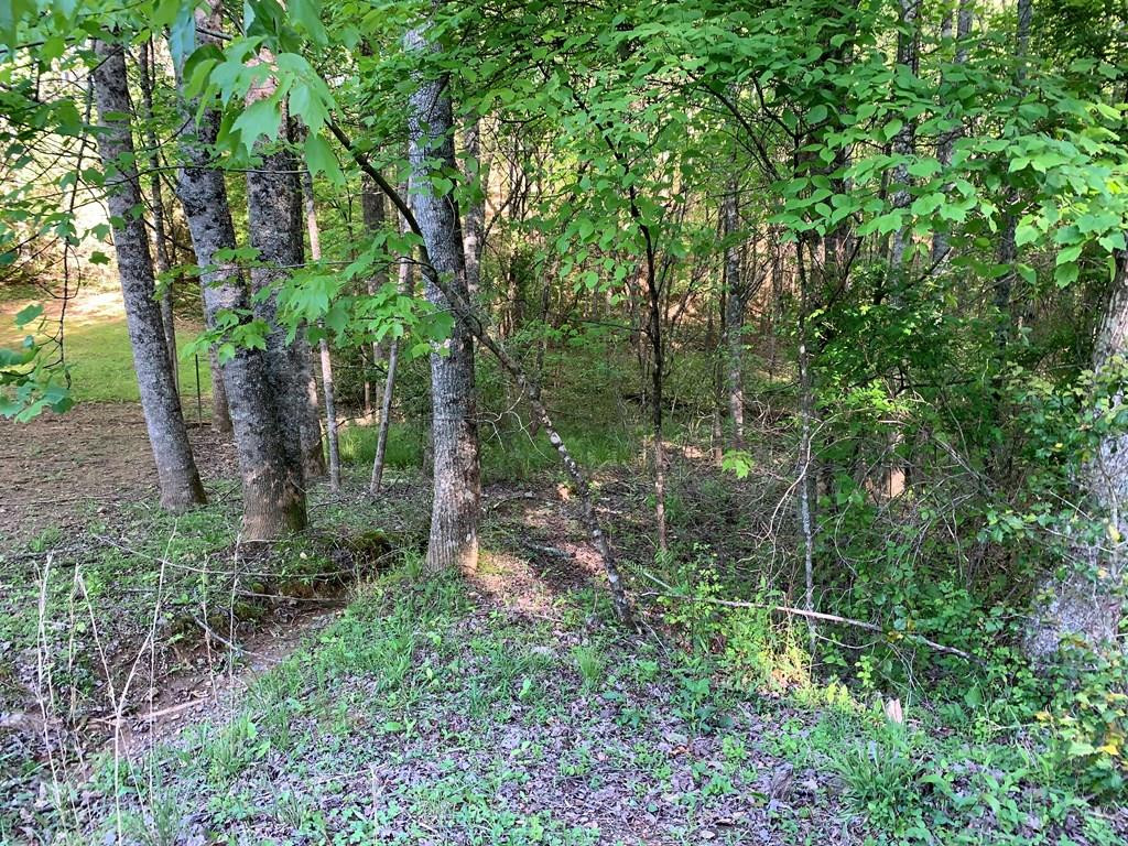 4 Hunter Vly Road Murphy, NC 28906 - Photo 1 of 16 Main View