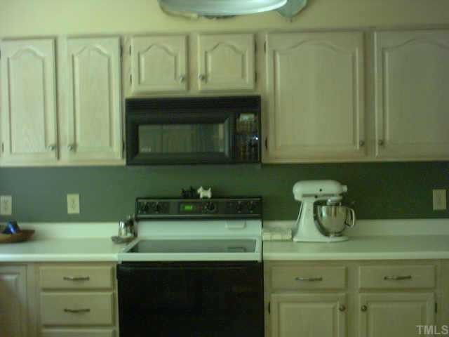 1287 Chub Lake Road Roxboro, NC 27574 - Photo 9 of 10 a kitchen with cabinets a sink and dishwasher