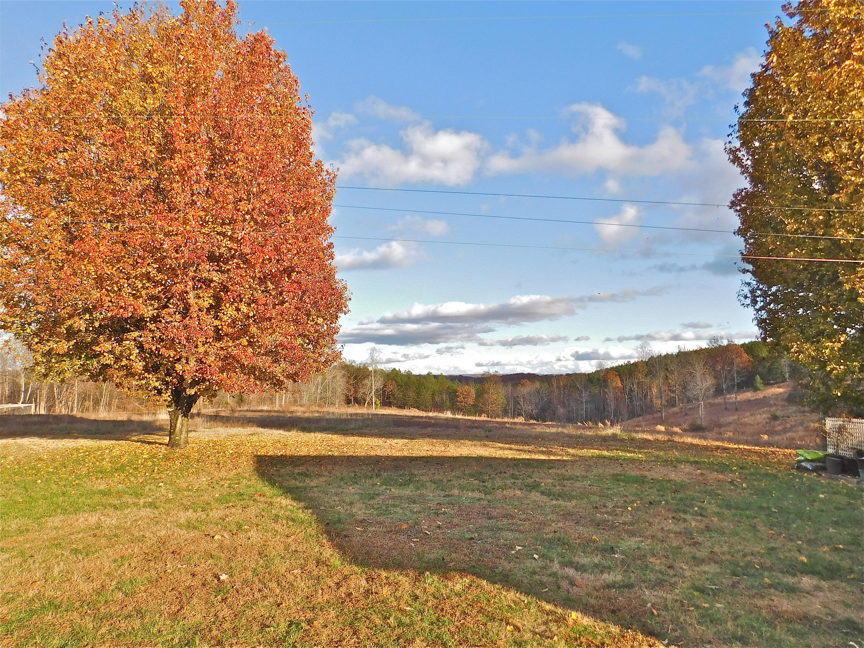 11124 Fritts Road Soddy Daisy, TN 37379 - Photo 24 of 25 DSCN7786