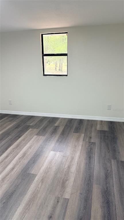 15535 Little Ranch Road Spring Hill, FL 34610 - Photo 33 of 46 an empty room with wooden floor and windows