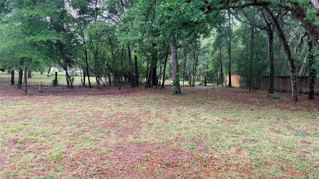 15535 Little Ranch Road Spring Hill, FL 34610 - Photo 37 of 46 a backyard of a house with lots of green space