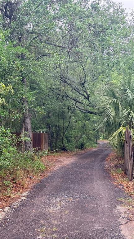 15535 Little Ranch Road Spring Hill, FL 34610 - Photo 39 of 46 a view of a out door space